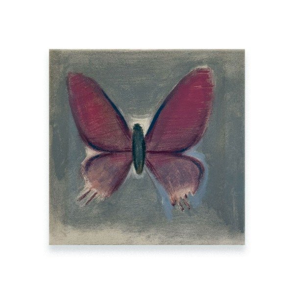 Producto - Marcelo Torretta