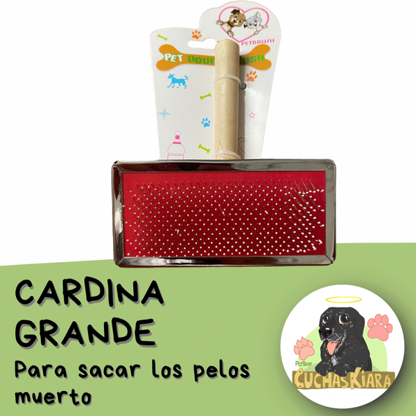 Producto - Cardina