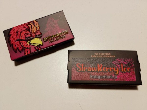 Producto - SEMILLAS FOTOPERIÓDICAS "STRAWBERRY ICE" x3 - ROOSTER CLUB