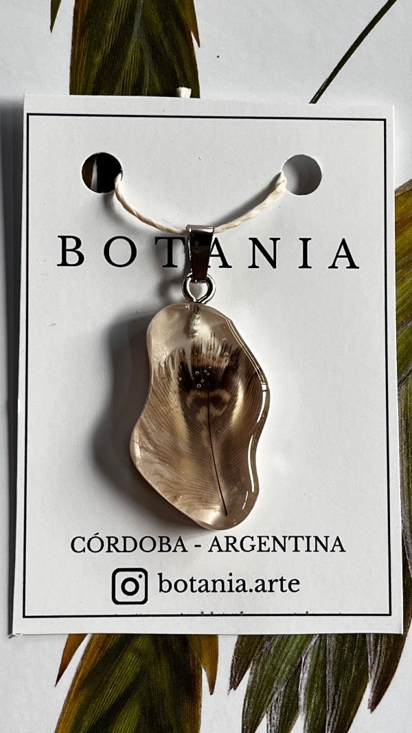 Producto - Pluma 5 - 0