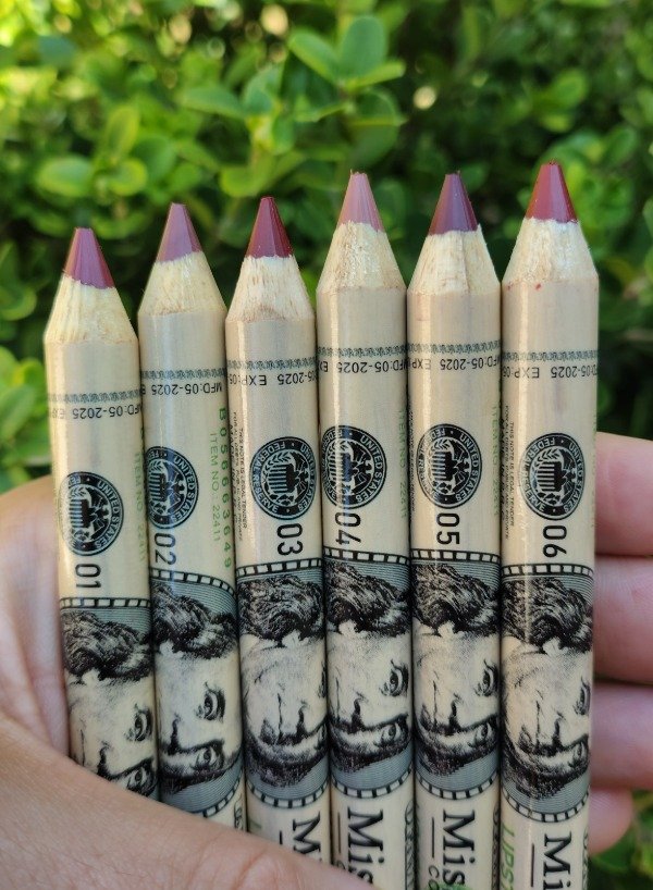 Producto - Delineador de labios Dólar-Miss Demi - 1