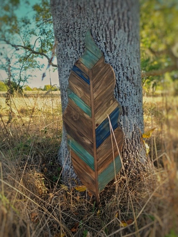 Producto - Pluma del viento - 1