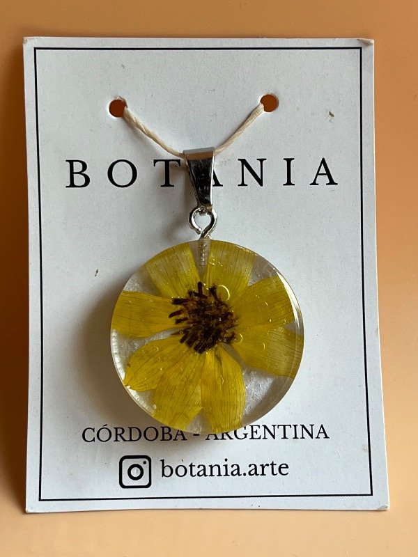 Producto - Margarita 9