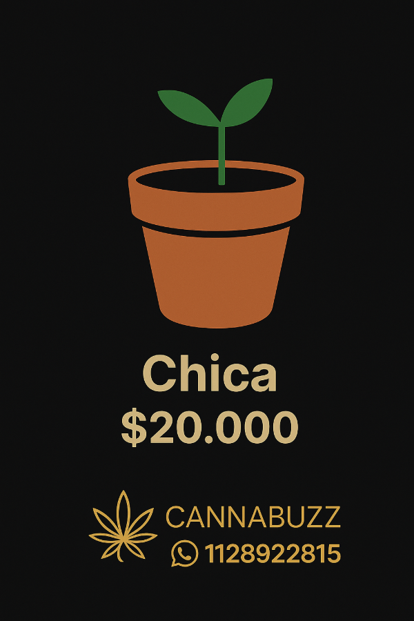 Producto - Plantín maceta chica (0,5 L)
