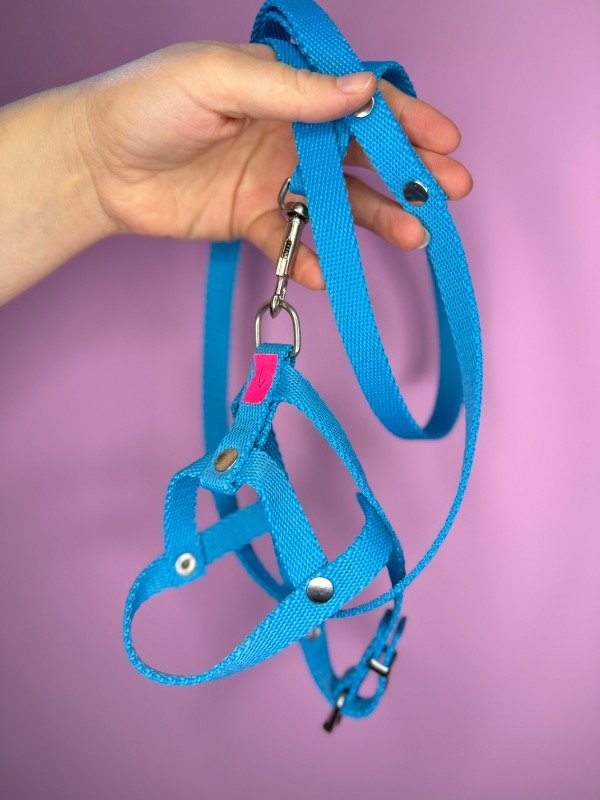 Producto - Pretal liso más correa