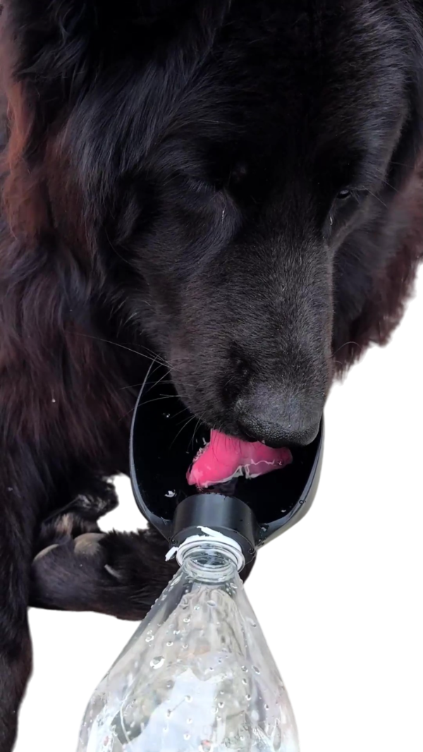 Producto - Bebedero de Agua Para Mascotas Grandes Para Paseo O Viaje