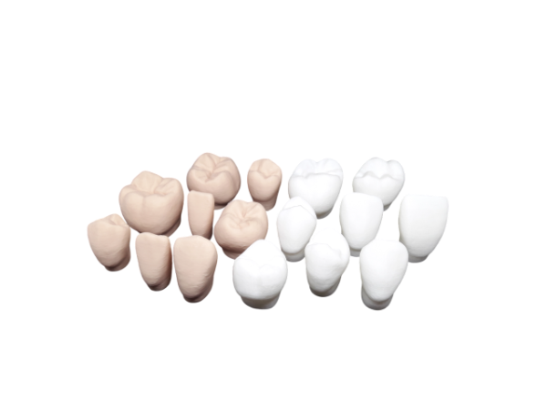 Producto - Juego dientes media arcada superior e inferior