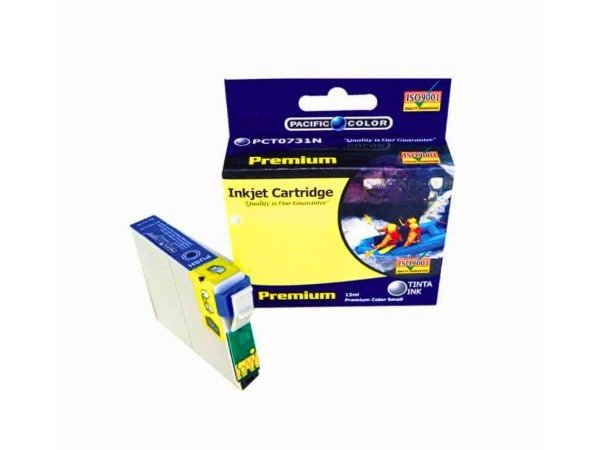 Producto - CARTUCHO EPSON ALT 206 NEGRO