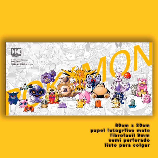 Producto - Cuadro Pokemon!