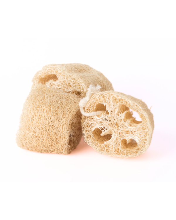 Producto - ESPONJA VEGETAL