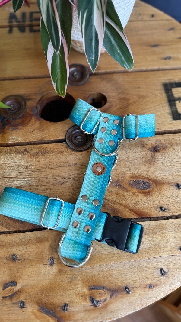 Producto - Pretal H Acqua Reforzado