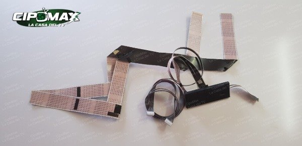 Producto - Conectores TCL 75C655 - Garantia