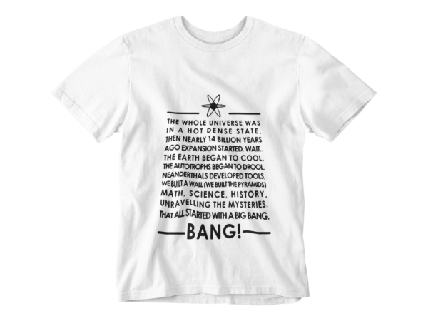 Producto - REME THE BIG BANG THEORY 005