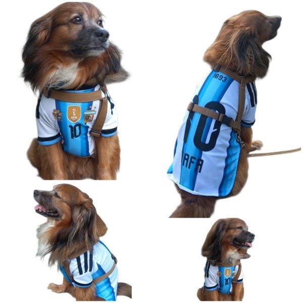 Producto - Camiseta Selección Argentina mundial 2026 perros grandes