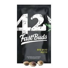 Producto - Original Big Bud Auto 3+2 - Fast Bud Seeds
