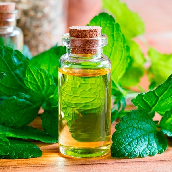 Producto - Aceite Esencial de Citronella 30ml