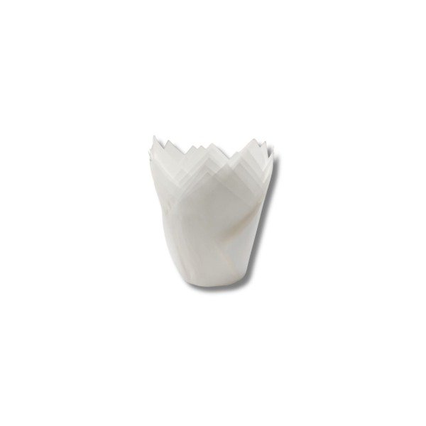 Producto - Tulipas de papel