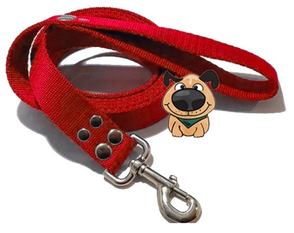Producto - Correa de perro Urbana 2 mts  de largo  por 3 cm  de ancho reforzada - 2