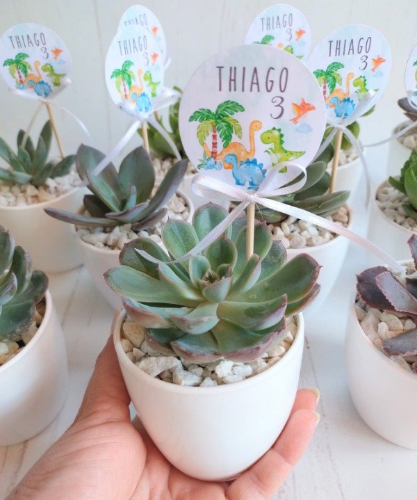 Producto - SUCULENTAS