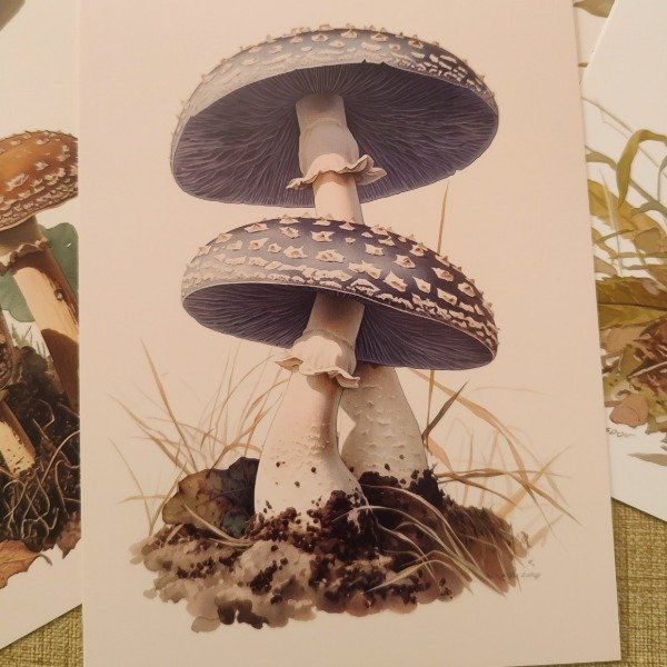 Miniatura de producto - 5