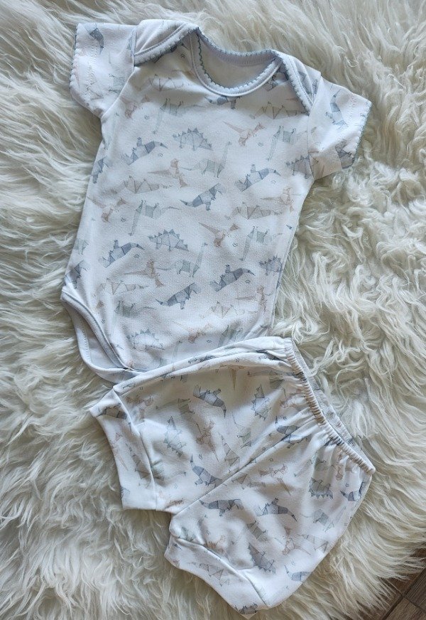 Producto - Conjuntos dinos