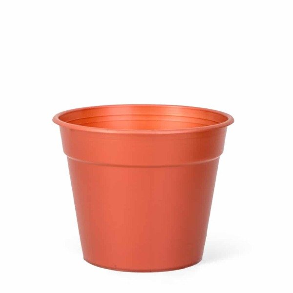 Producto - BERUPLAST CLASICA 21