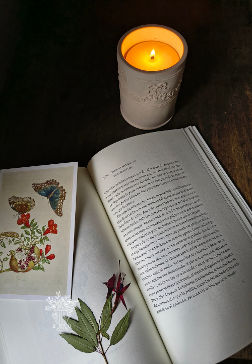 Producto - Le Pavillon - 6
