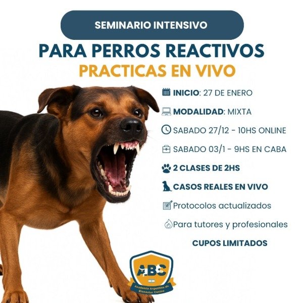 Producto - Seminario INTENSIVO - Perros Reactivos
