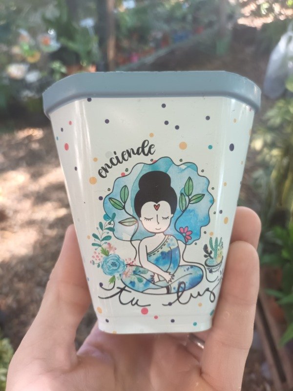 Producto - Sublimada Para Colgar Maceta - 3