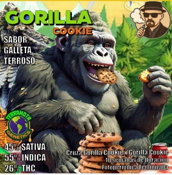 Producto - Gorila cookie