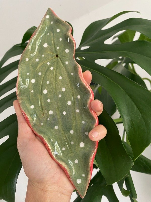 Producto - Portasahumerio Botanica