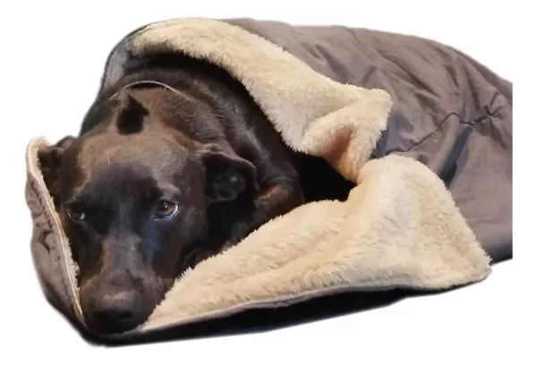 Producto - BOLSA DE DORMIR CON CORDERITO