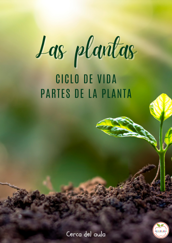 Producto - Las plantas: ciclo de vida y sus partes. - 0
