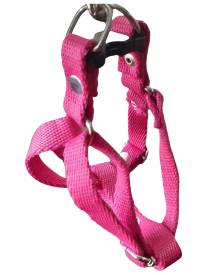 Producto - Arnés Regulable