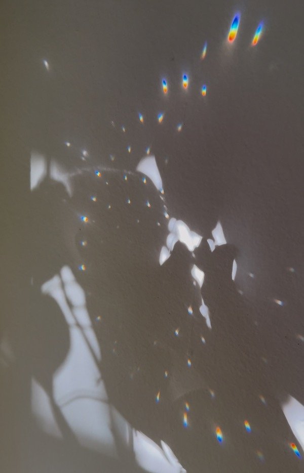 Producto - Mariposa cristal plata 925