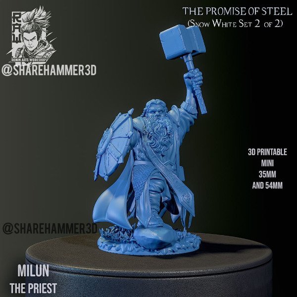 Producto - Milun, el Sacerdote - Dungeons and Dragons