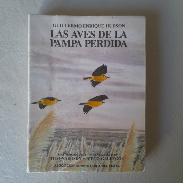 Producto - Las aves de la pampa perdida