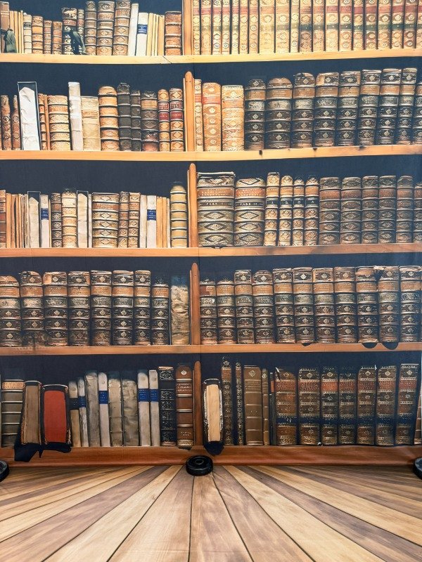 Biblioteca Antigua con Piso de Madera