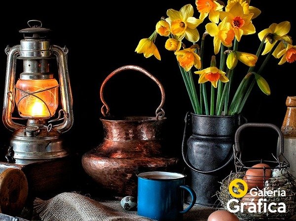 Producto - Granja Molino FS 06