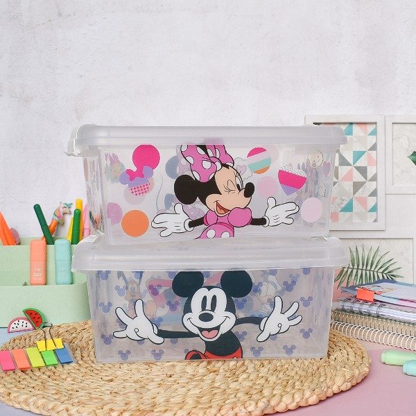 Producto - CAJA GUARDA TODO 4.2 LITROS