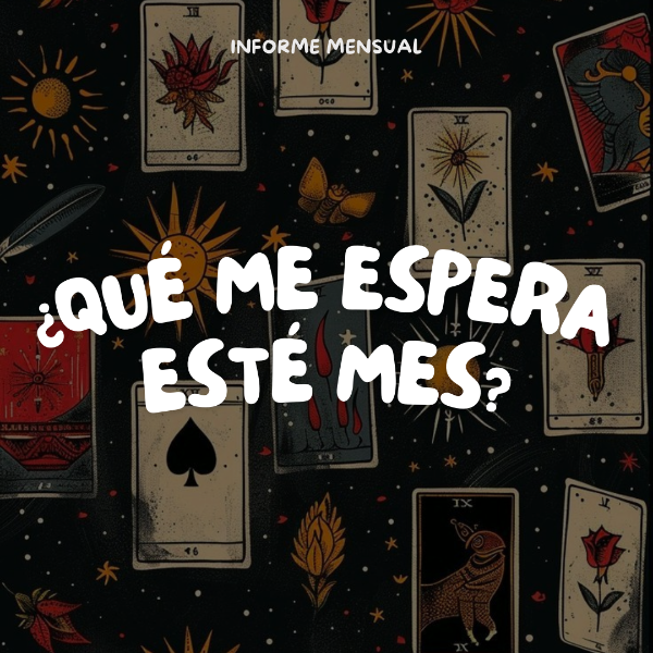 Producto - Lectura principio de mes