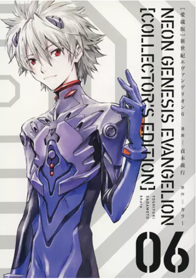 Producto - NEON GENESIS EVANGELION 6) limited premium + Collection of Illustrations