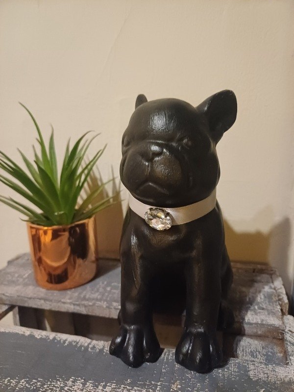 Producto - BULLDOG FRANCÉS