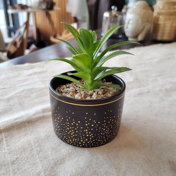 Producto - Maceta con suculenta Aura