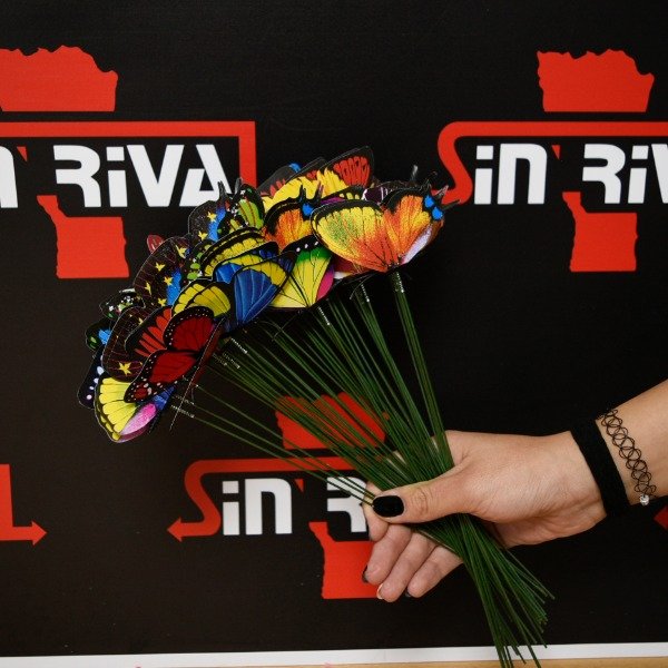 Producto - TUTOR MARIPOSA 12CM 203