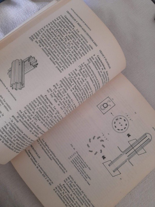 Miniatura de producto - 7