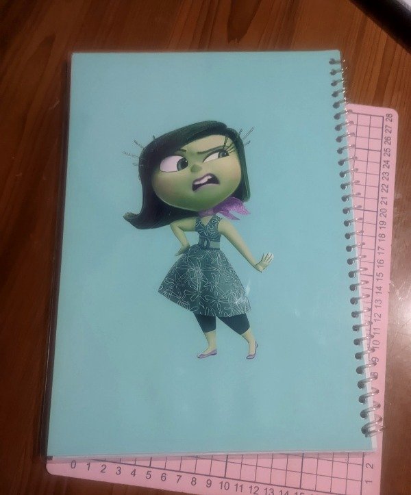 Producto - Cuaderno A4 tapa plástificada