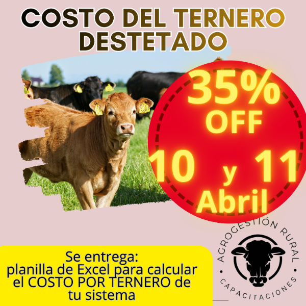 Producto - Taller Online: Costo del Ternero