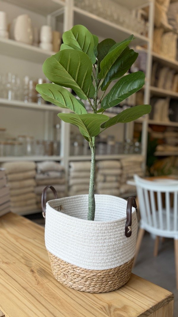 Producto - Cesto Grande