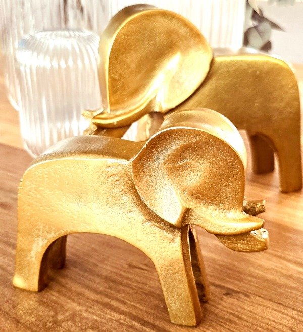 Producto - Elefante India